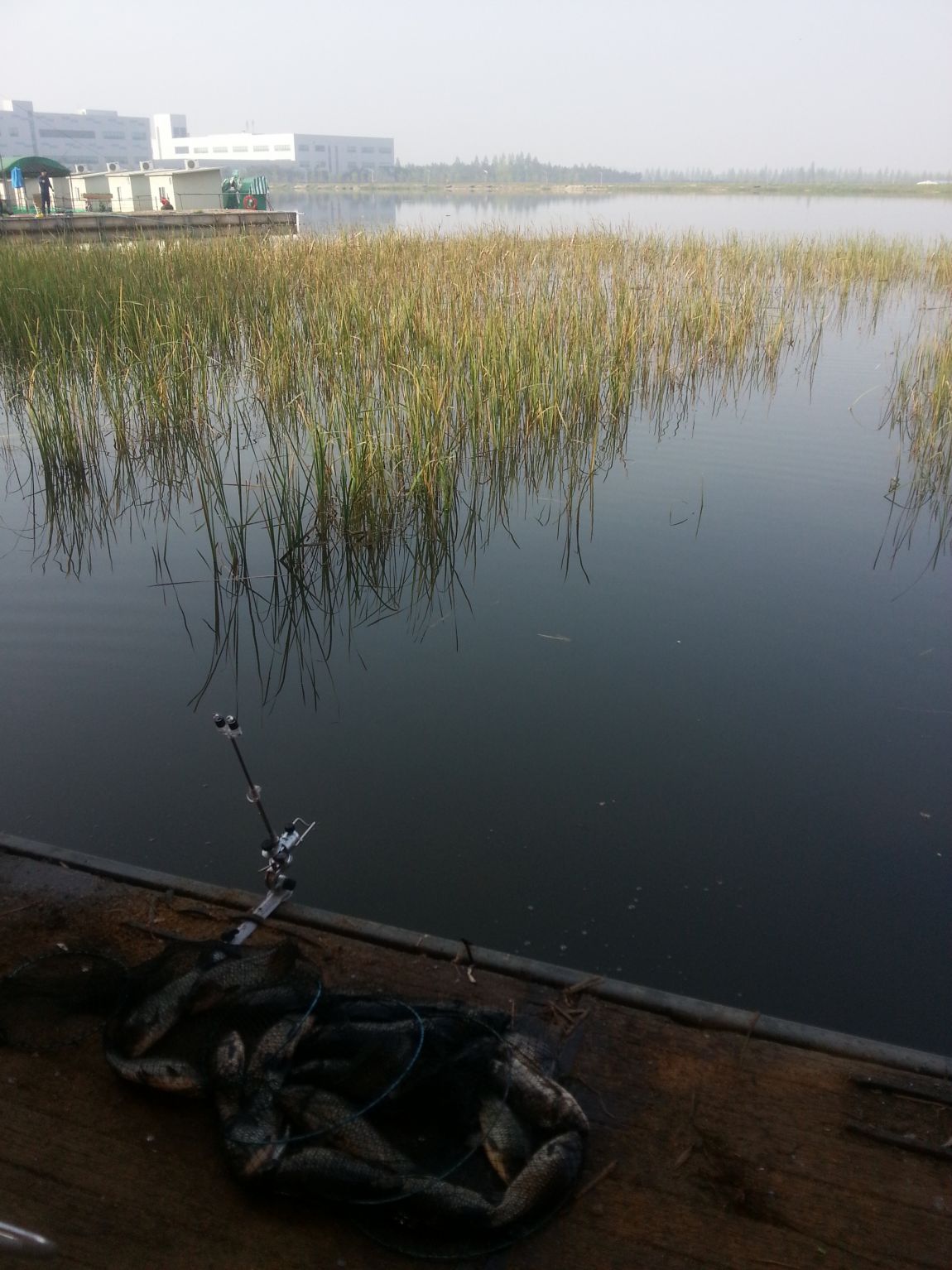20150501_082610.jpg