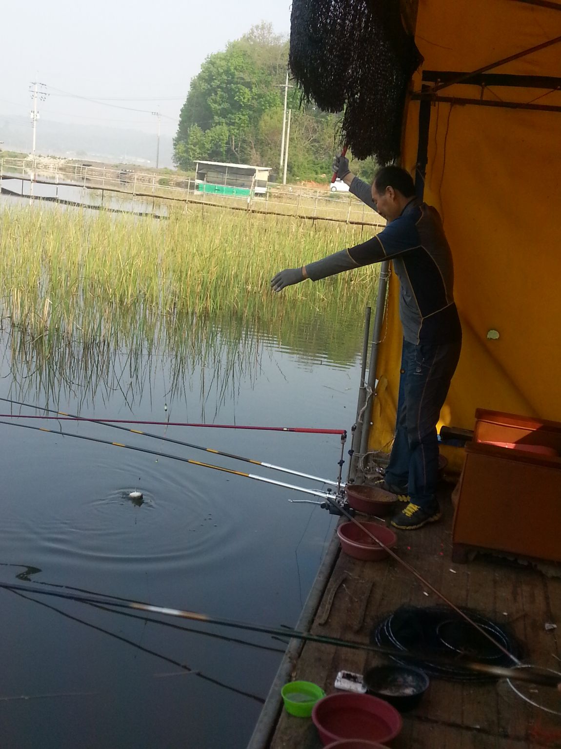 20150501_082917.jpg