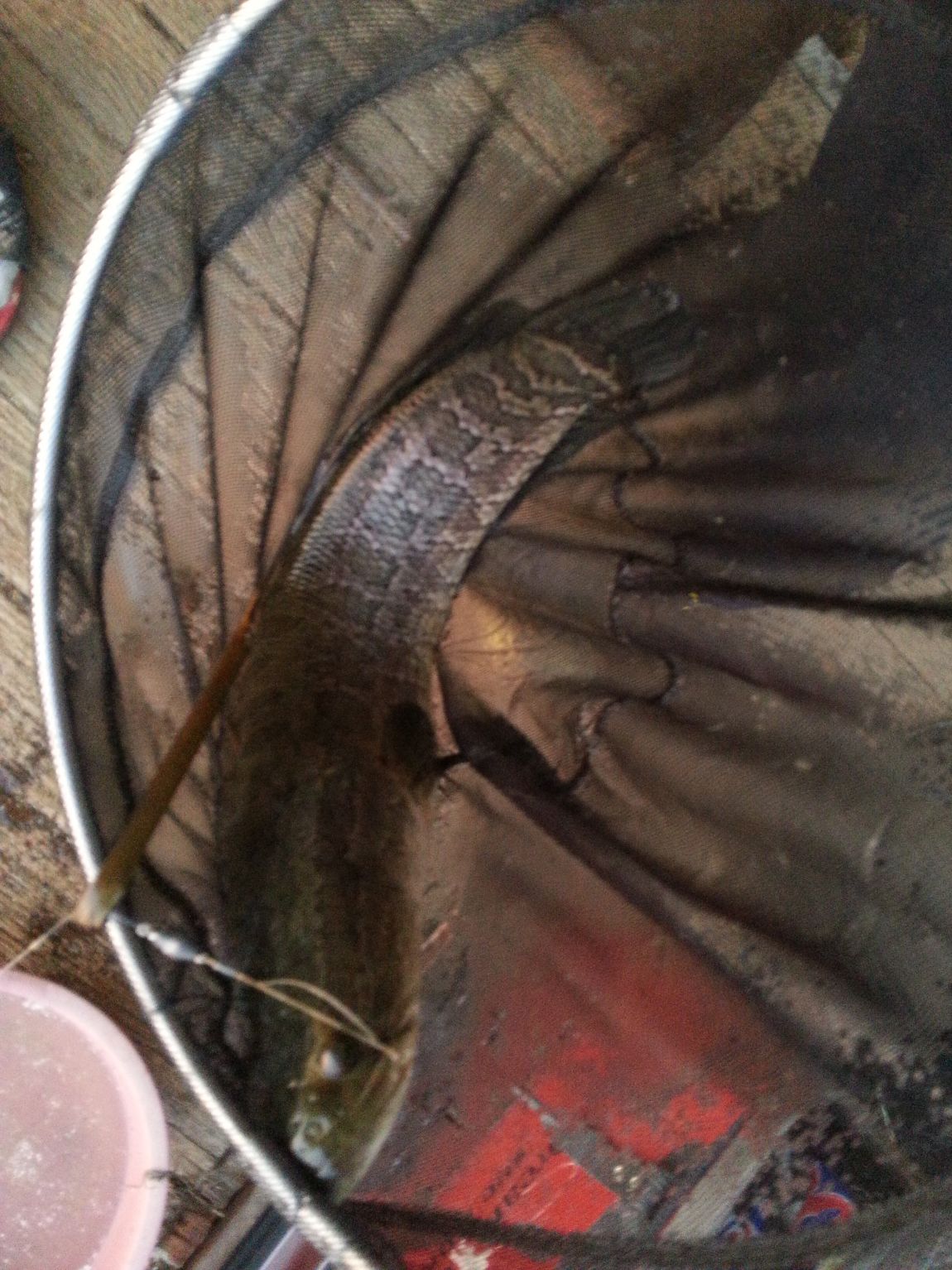 20150501_191639.jpg