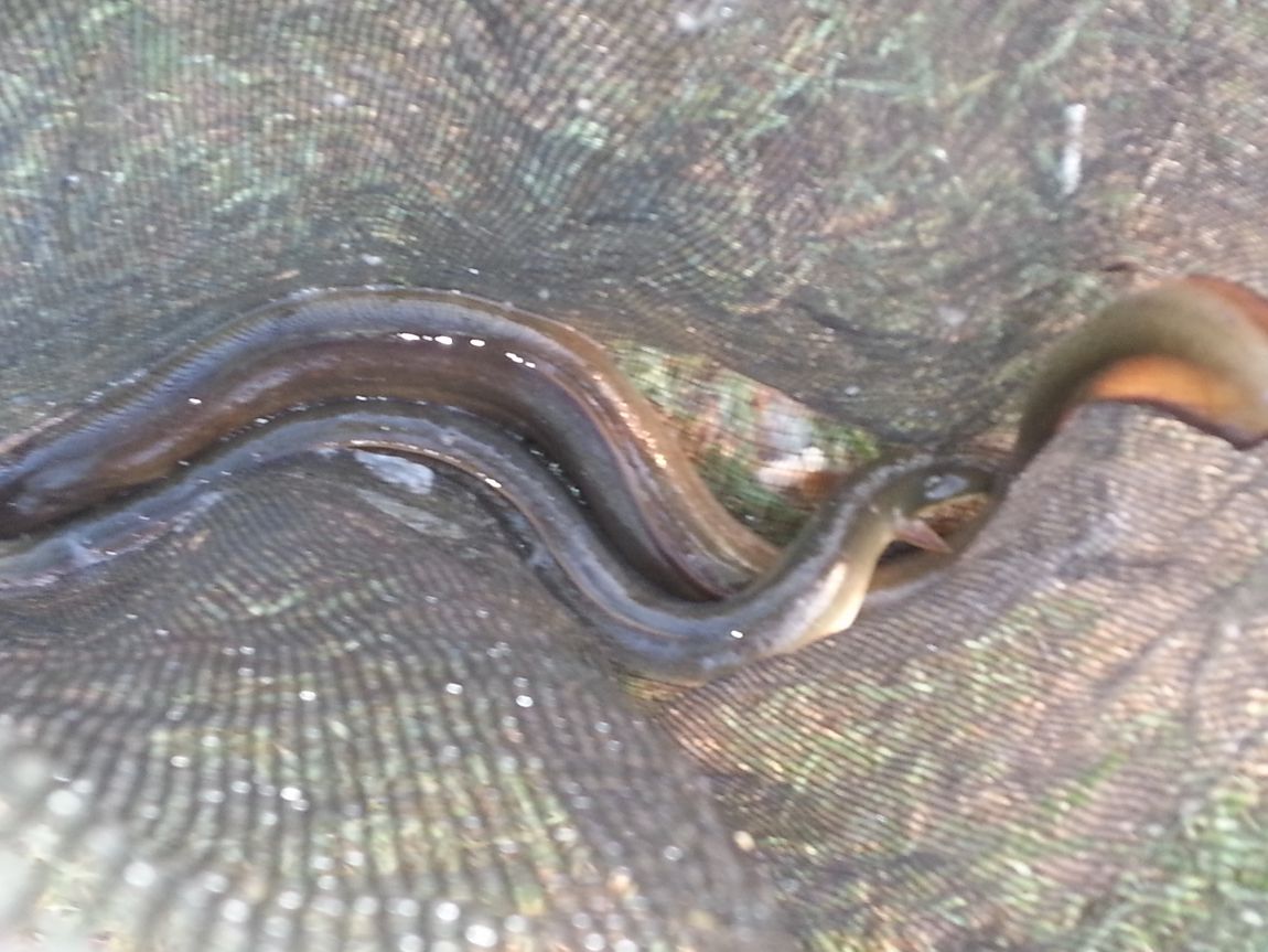20150502_062912.jpg