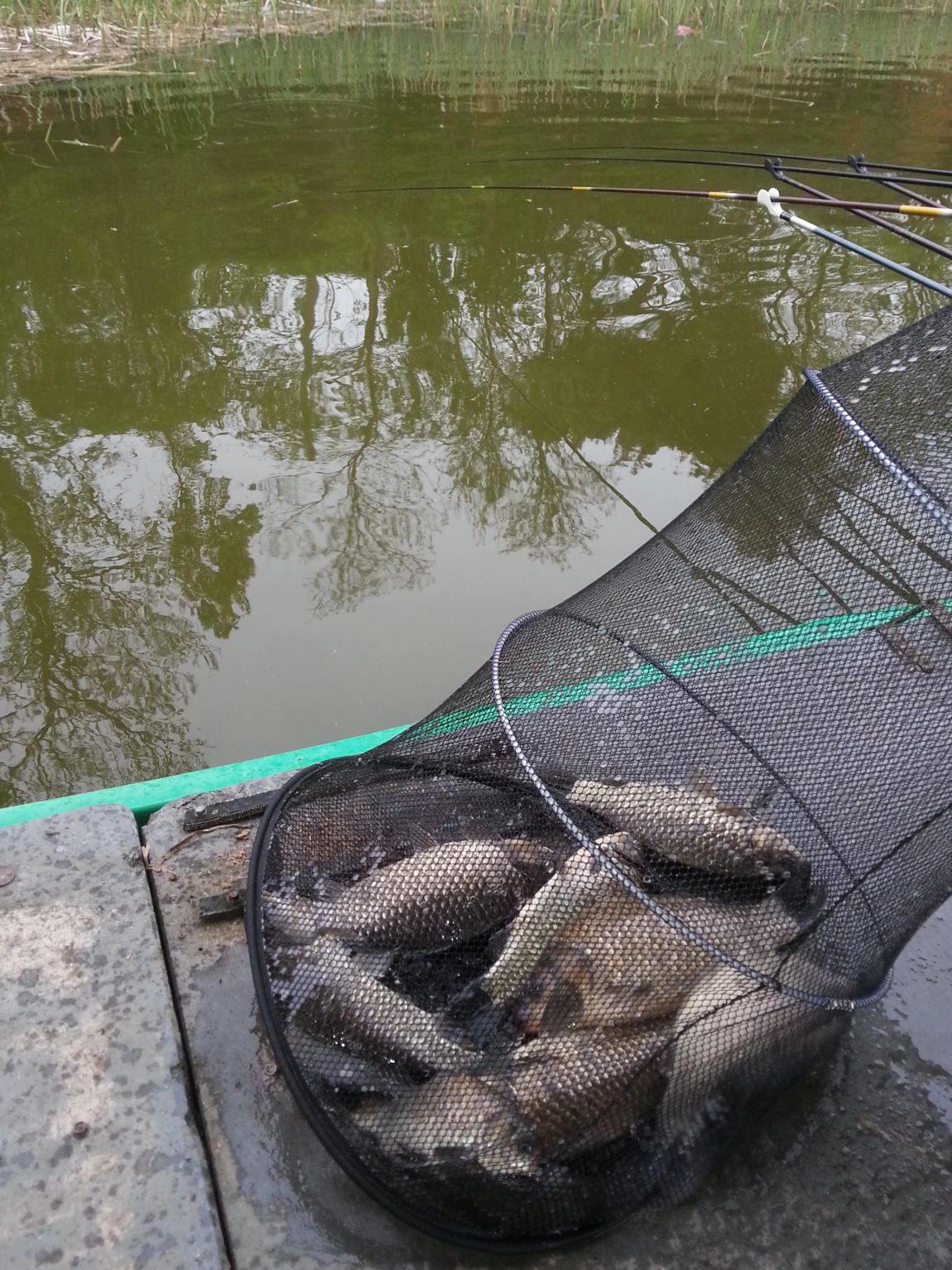 20150502_174558.jpg