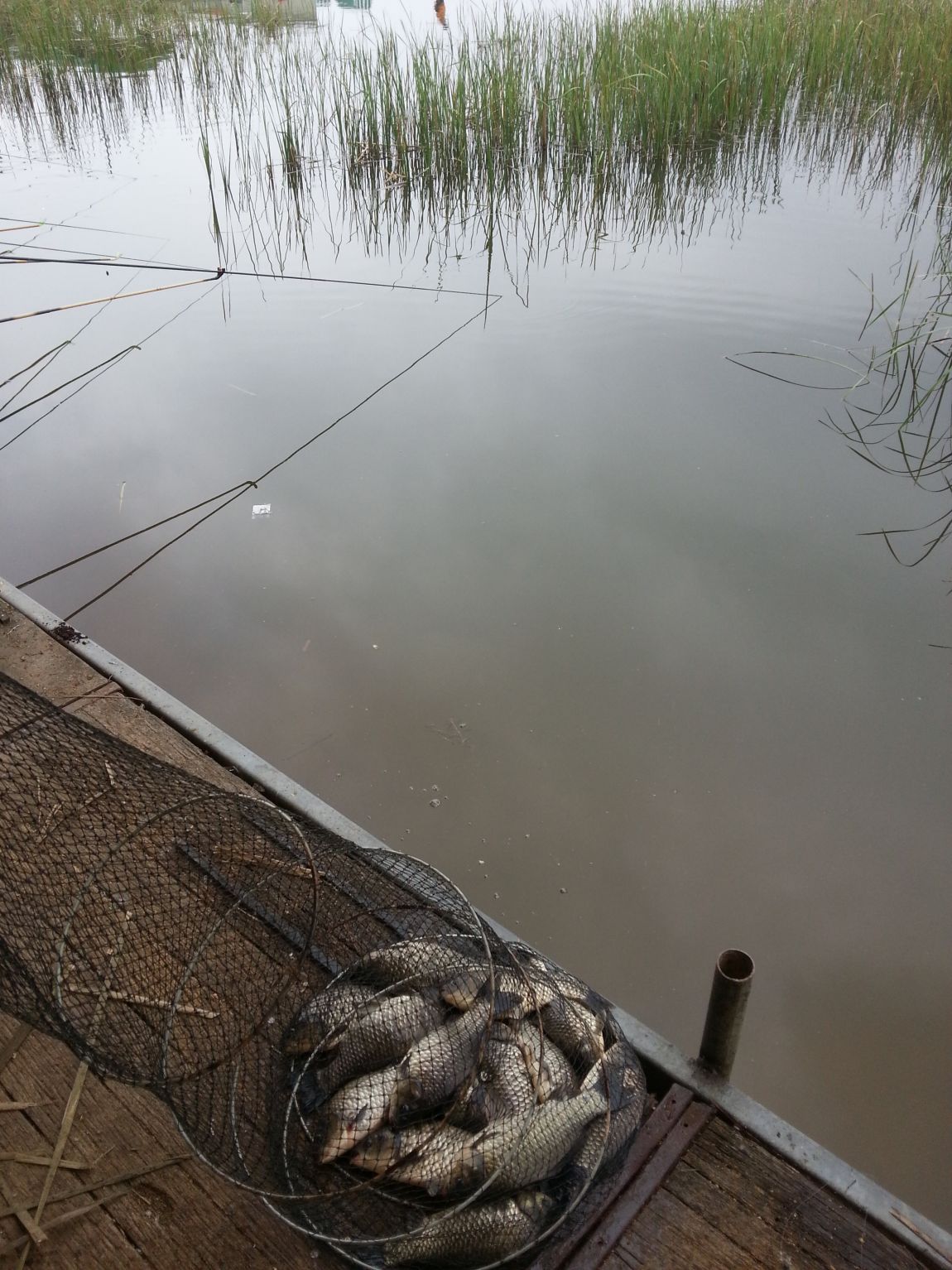 20150503_122536.jpg