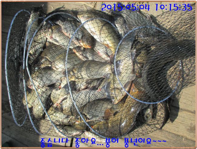 �ٹ̱�_IMG_1340.JPG