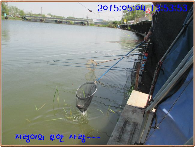 �ٹ̱�_IMG_1348.JPG