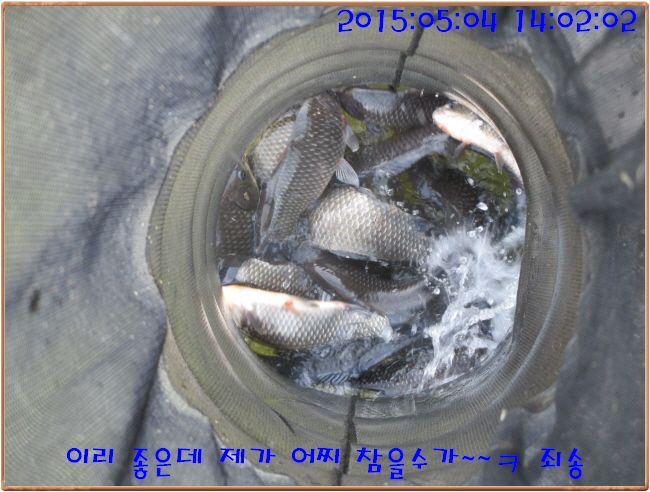 �ٹ̱�_IMG_1349.JPG