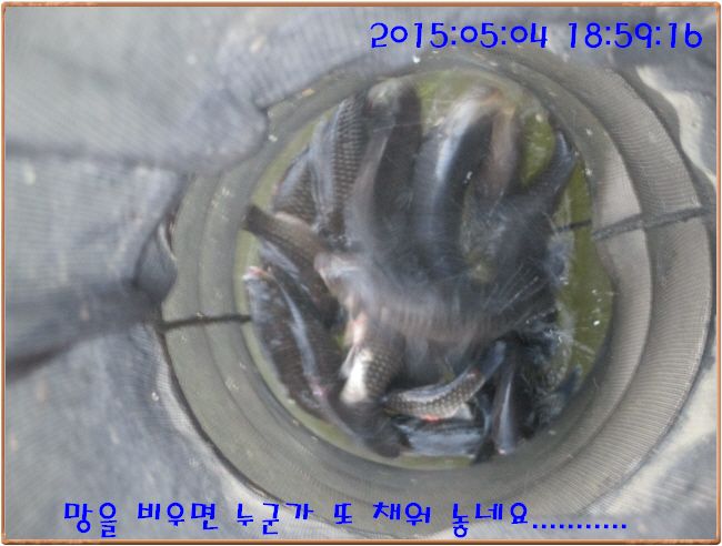 �ٹ̱�_IMG_1351.JPG