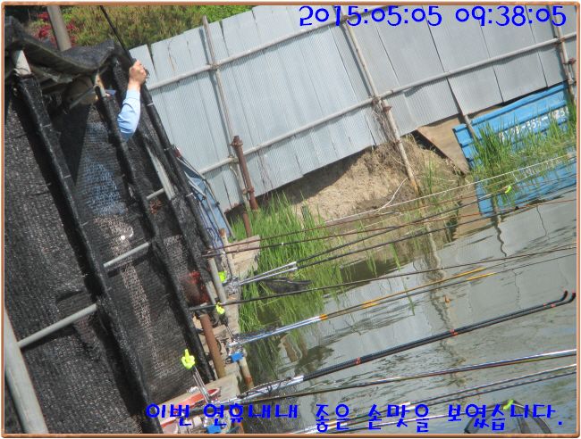 �ٹ̱�_IMG_1354.JPG