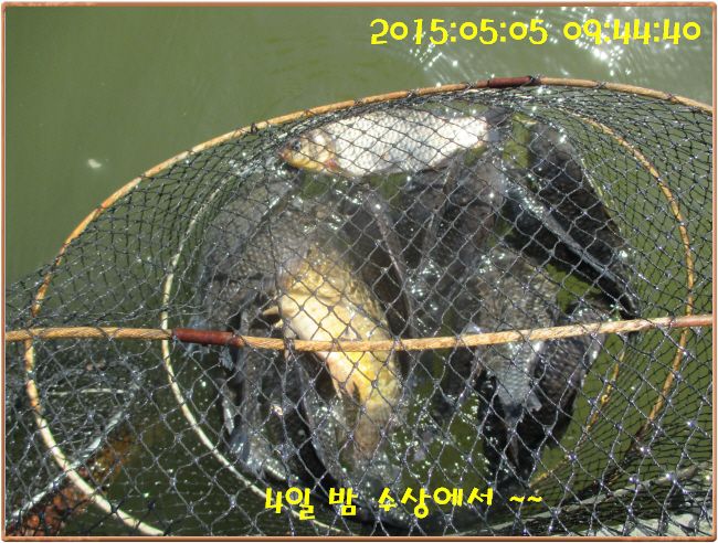 �ٹ̱�_IMG_1356.JPG