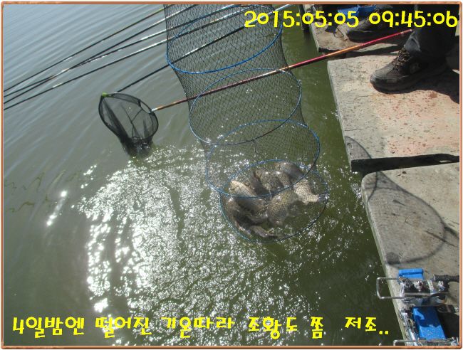 �ٹ̱�_IMG_1357.JPG