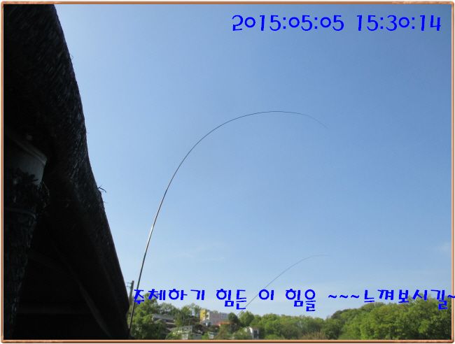 �ٹ̱�_IMG_1373.JPG