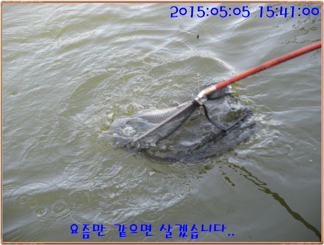 �ٹ̱�_IMG_1375.JPG