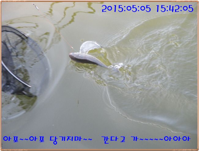 �ٹ̱�_IMG_1377.JPG