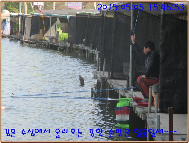 �ٹ̱�_IMG_1379.JPG