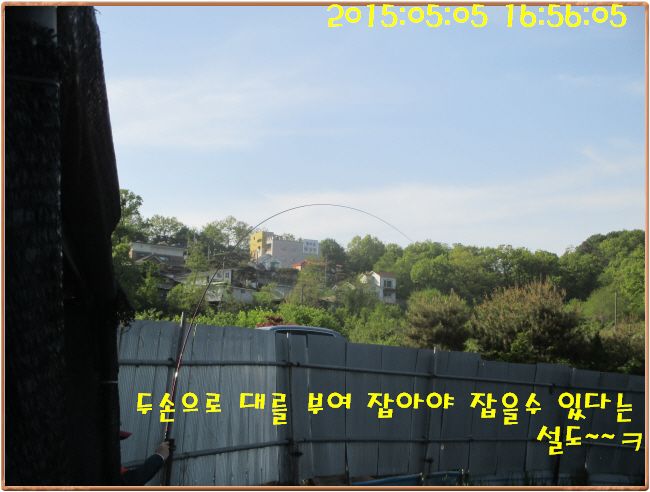 �ٹ̱�_IMG_1385.JPG