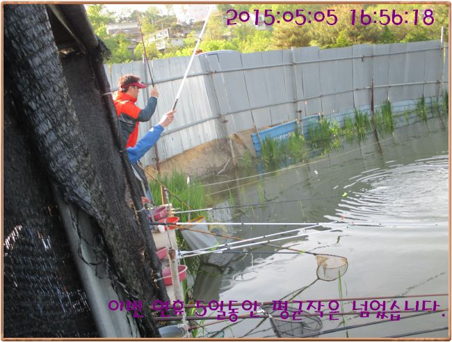 �ٹ̱�_IMG_1386.JPG