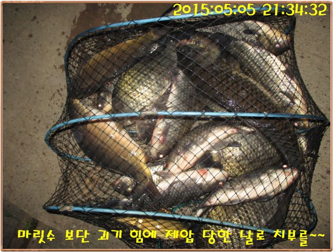 �ٹ̱�_IMG_1398.JPG