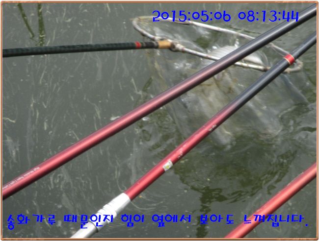 �ٹ̱�_IMG_1400.JPG