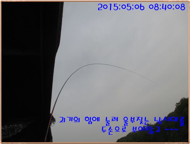 �ٹ̱�_IMG_1402.JPG