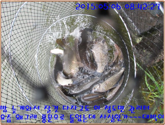 �ٹ̱�_IMG_1406.JPG