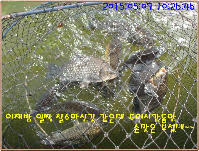 �ٹ̱�_IMG_1411.JPG