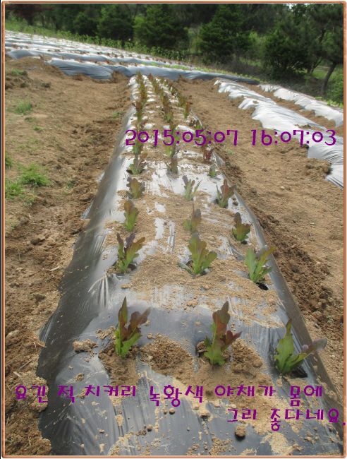 �ٹ̱�_IMG_1414.JPG