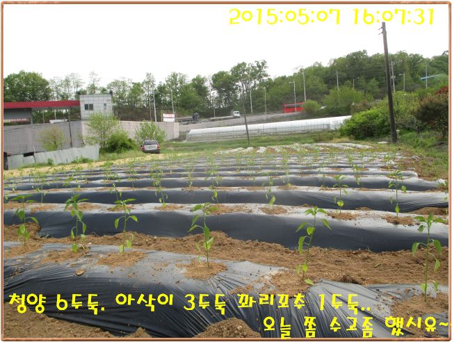 �ٹ̱�_IMG_1418.JPG