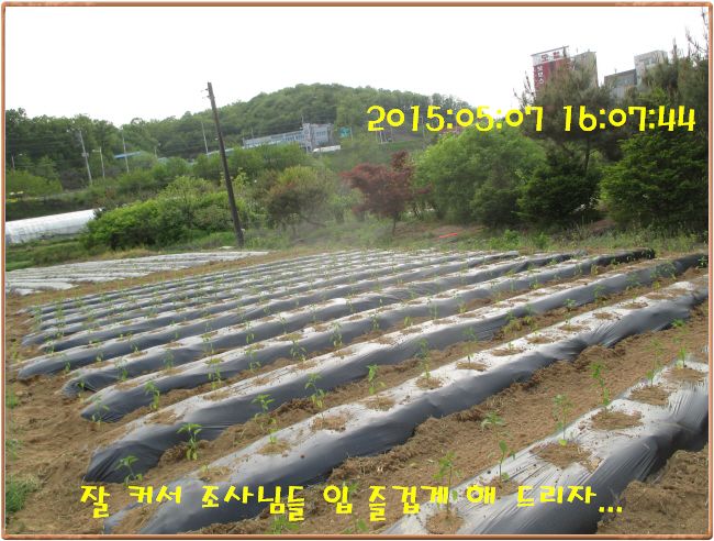 �ٹ̱�_IMG_1419.JPG