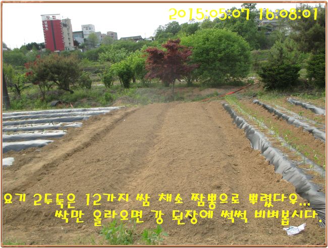 �ٹ̱�_IMG_1420.JPG