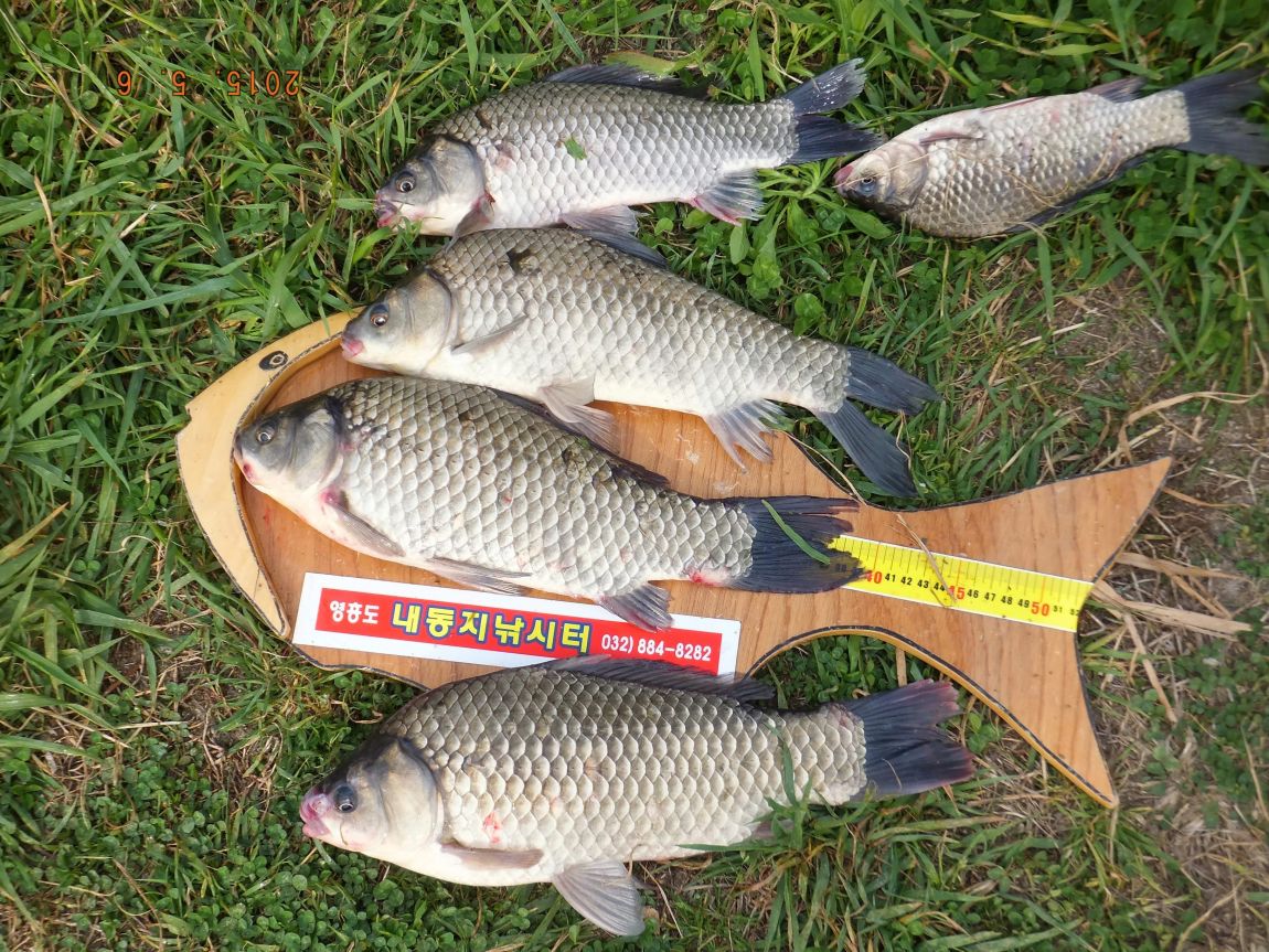 201300703 014.jpg