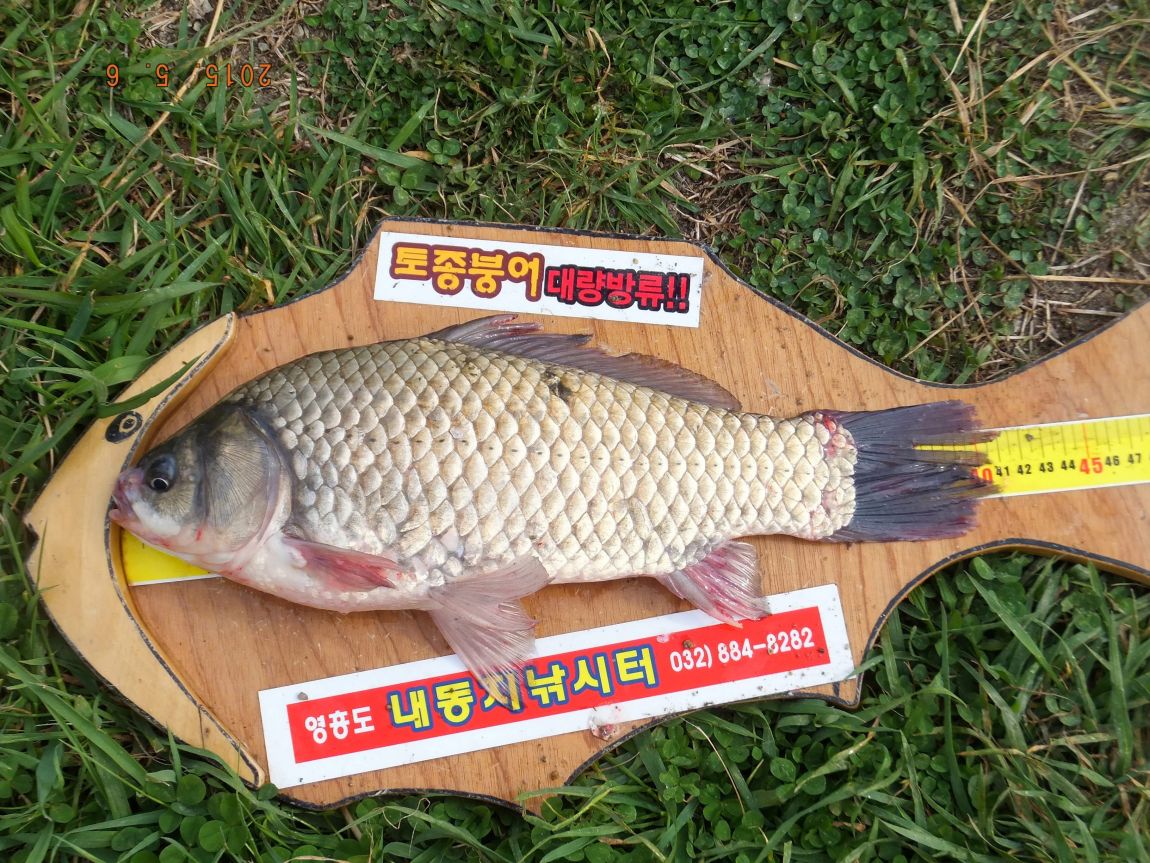 201300703 010.jpg