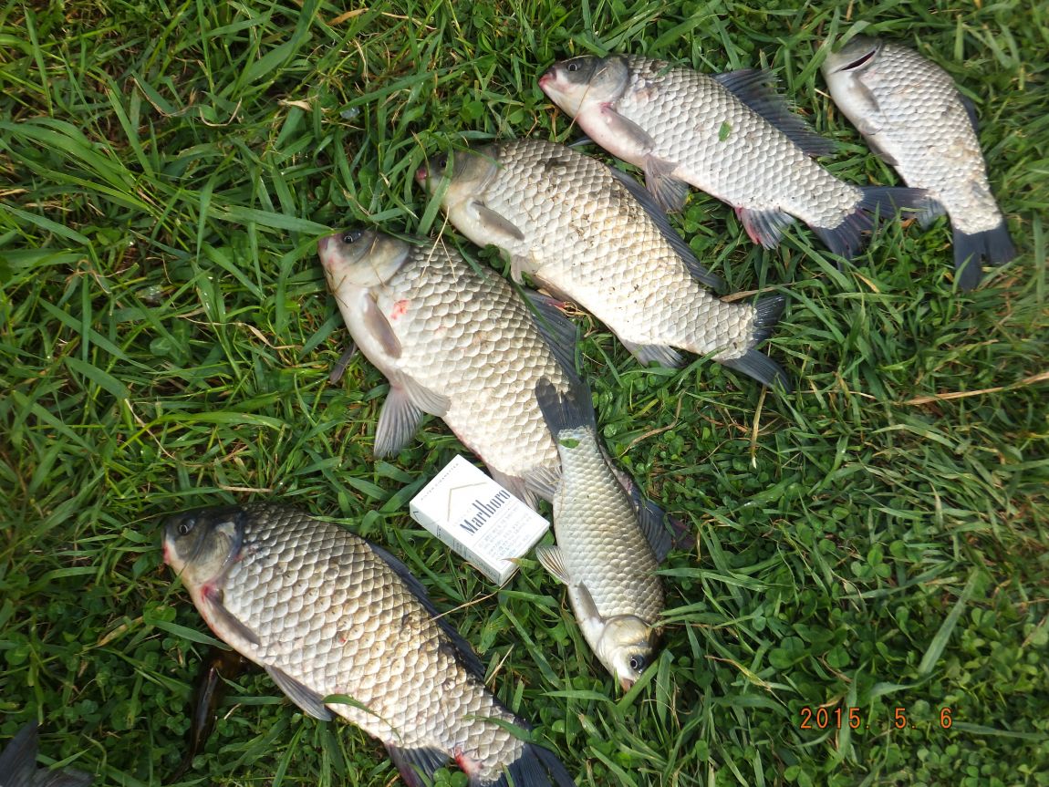 201300703 018.jpg