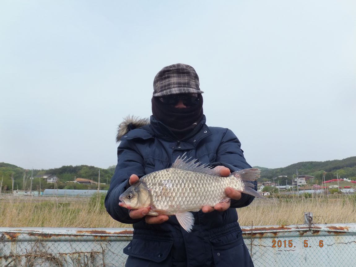 201300703 007.jpg