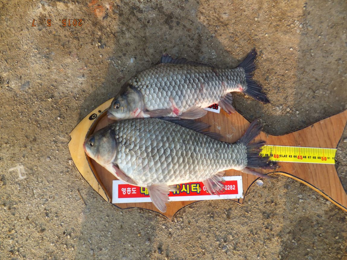 201300703 009.jpg