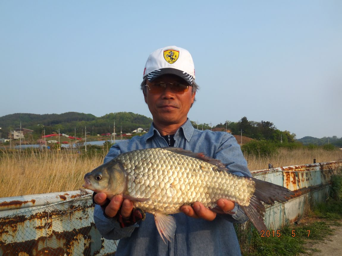 201300703 004.jpg