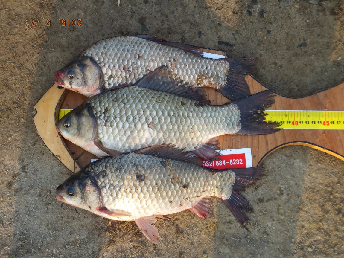 201300703 003.jpg