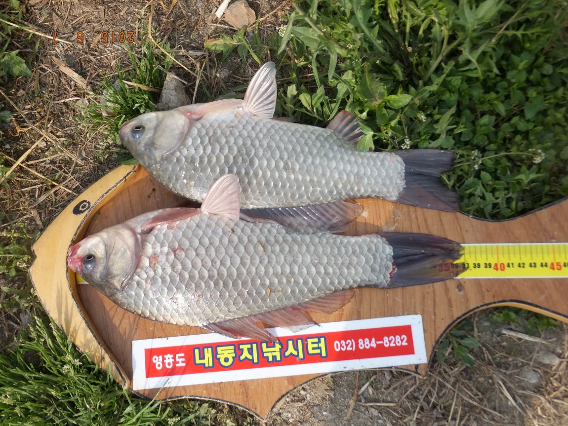 201300703 022.jpg