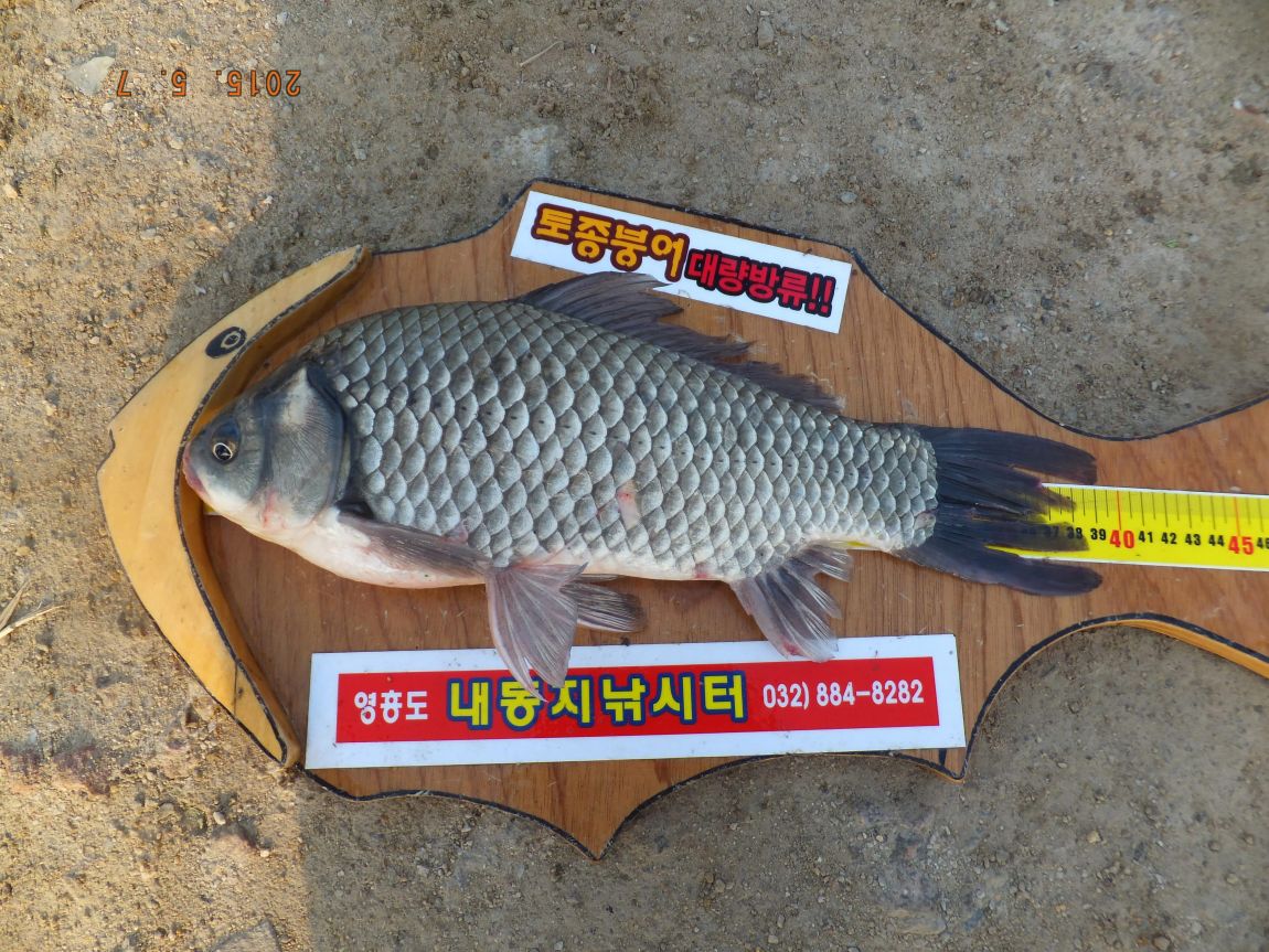 201300703 015.jpg