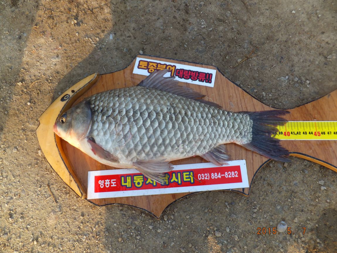 201300703 008.jpg