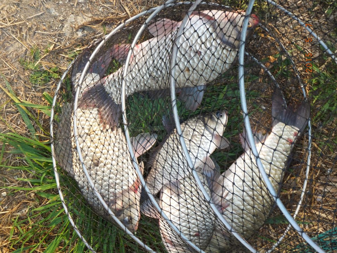 201300703 002.jpg