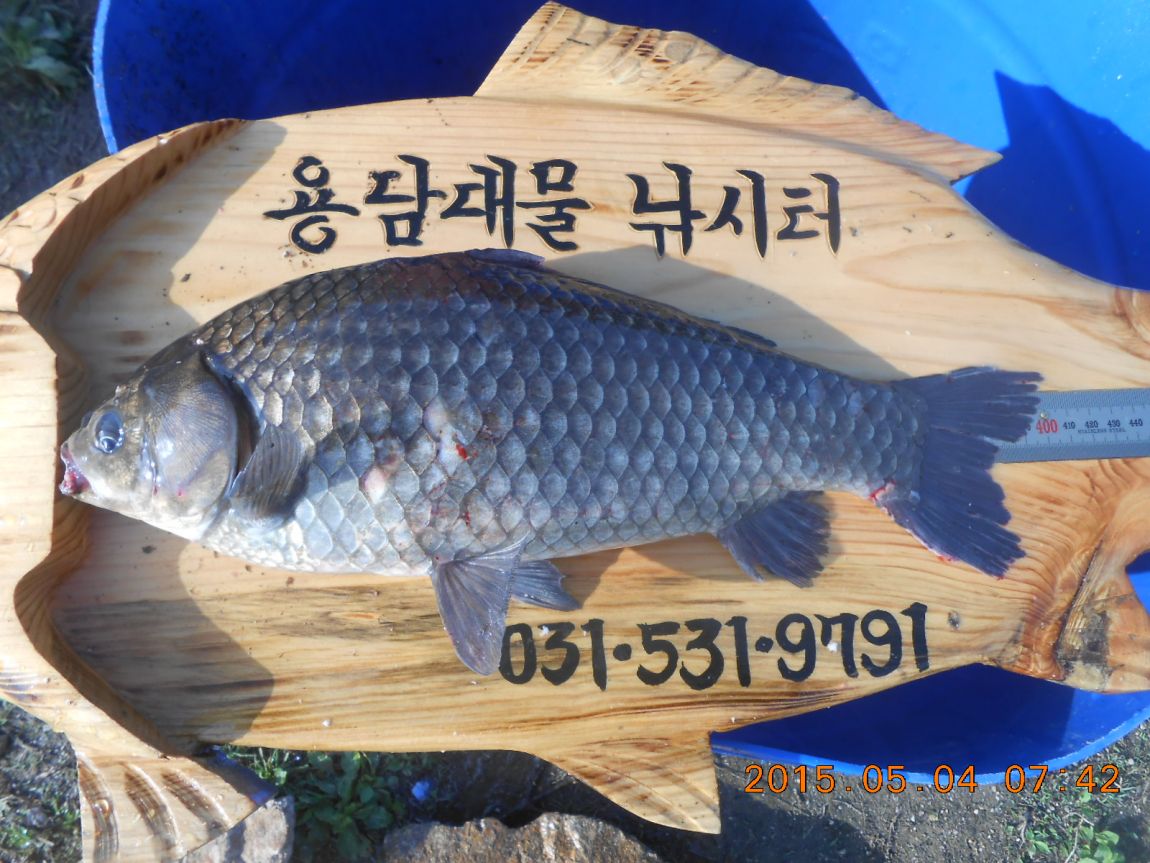 DSCN3535 - 纻.JPG
