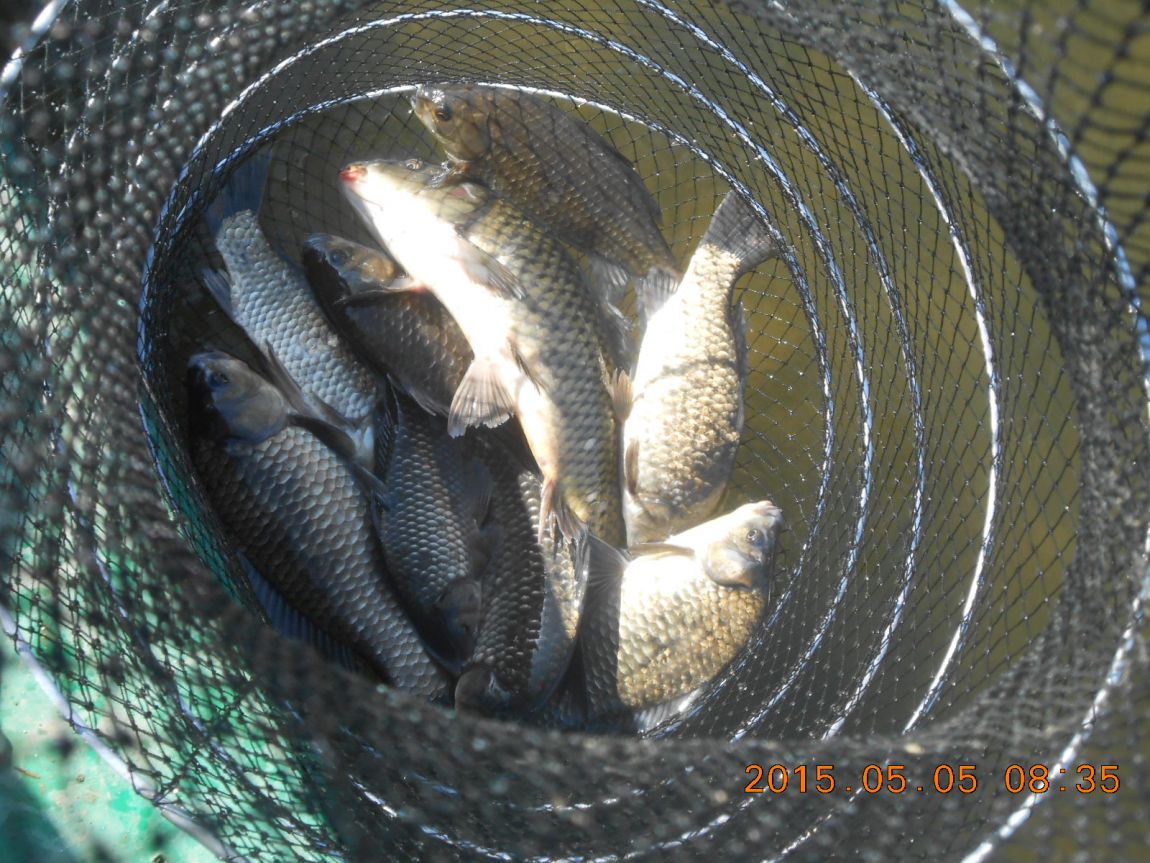 DSCN3558.JPG