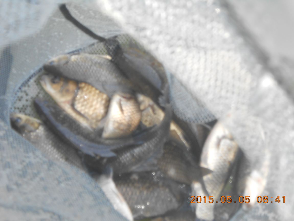 DSCN3561.JPG