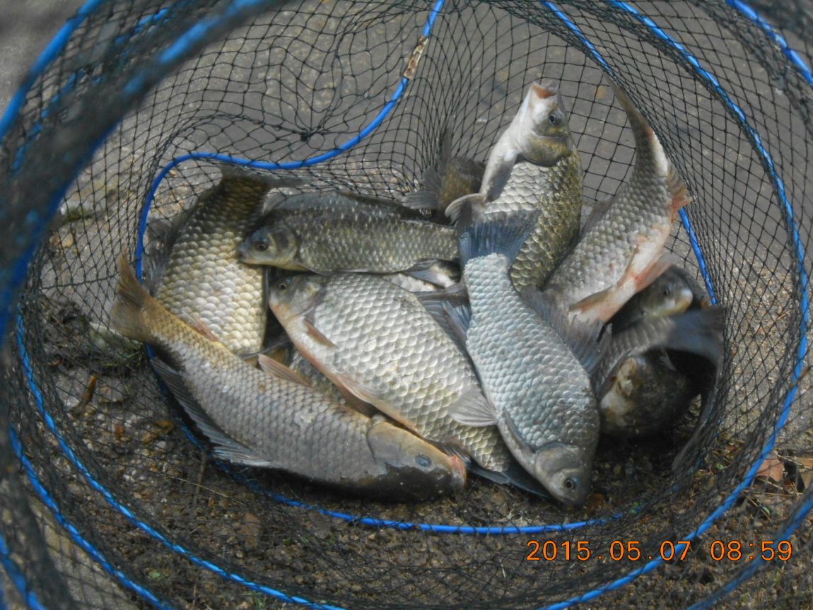 DSCN3564.JPG