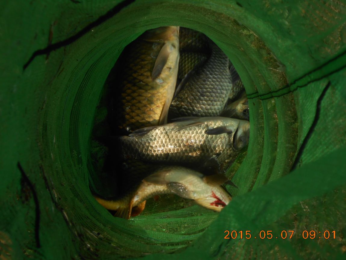 DSCN3565.JPG
