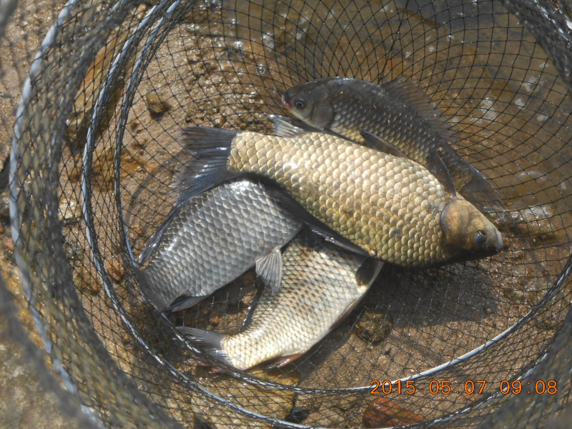 DSCN3566.JPG