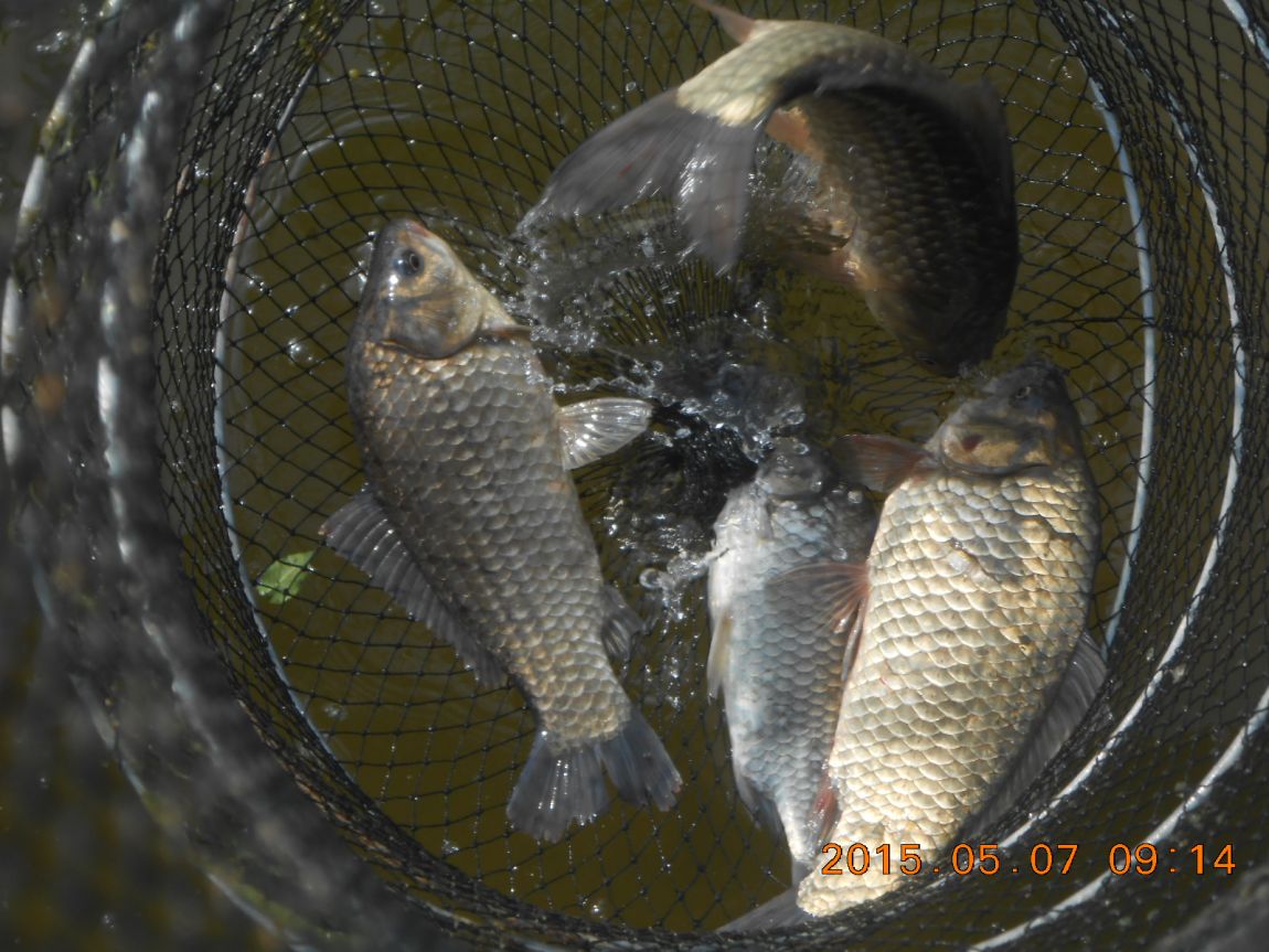 DSCN3567.JPG