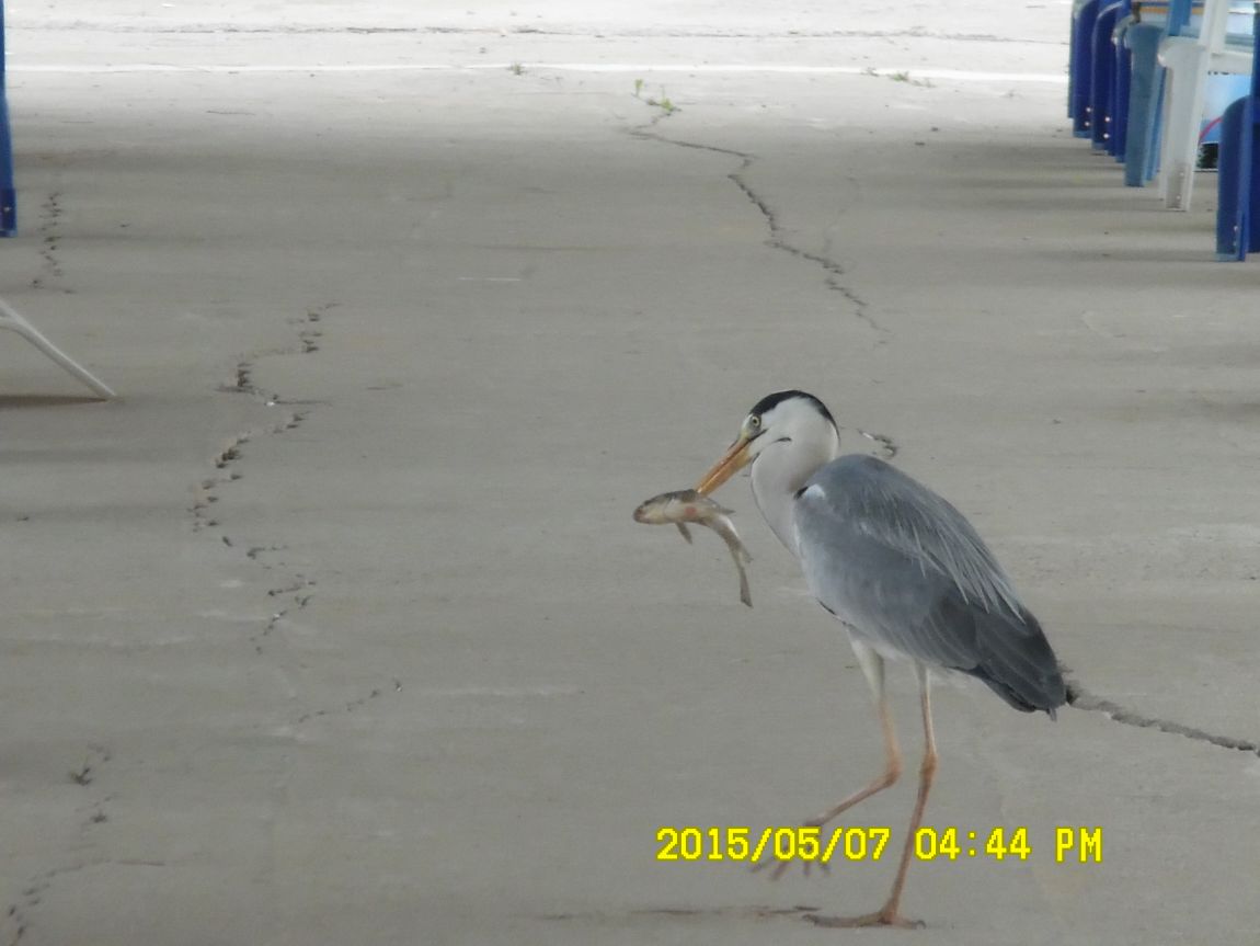 5��7�� 038.JPG