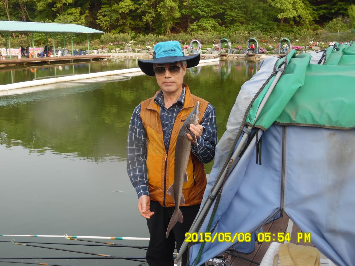 5��7�� 003.JPG