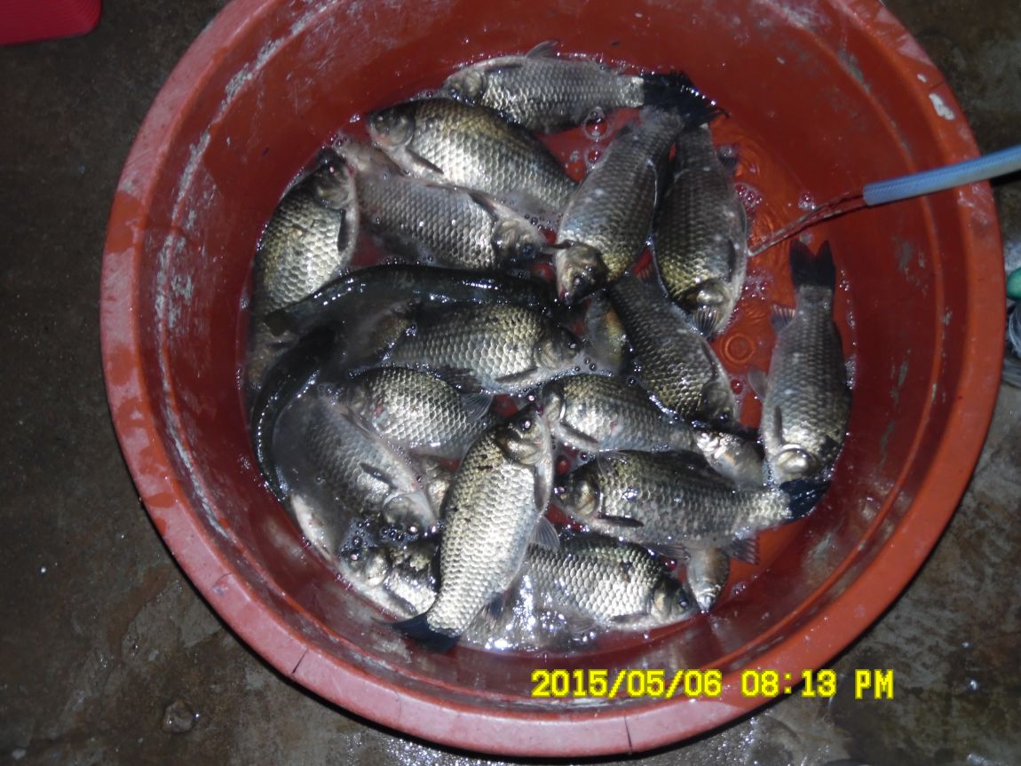 5��7�� 010.JPG