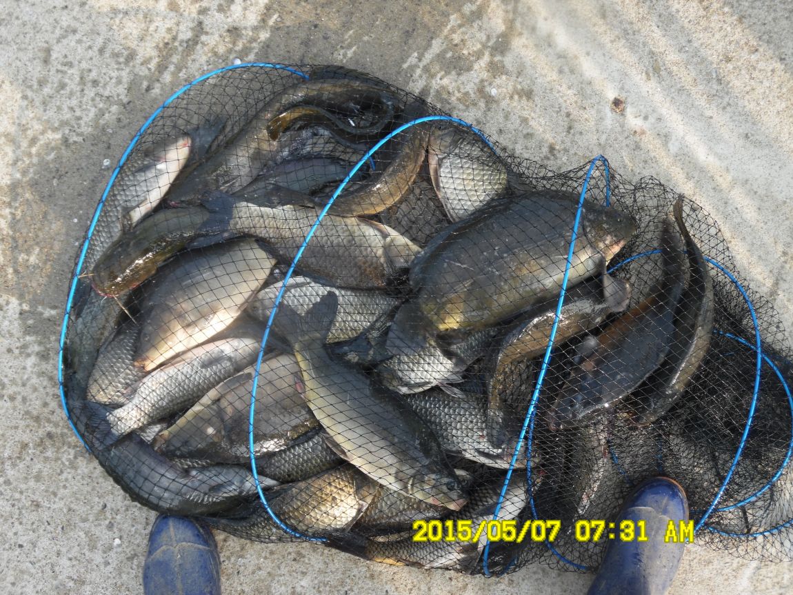 5��7�� 018.JPG